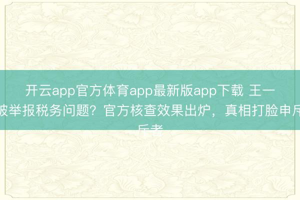 开云app官方体育app最新版app下载 王一博被举报税务问题？官方核查效果出炉，真相打脸申斥者